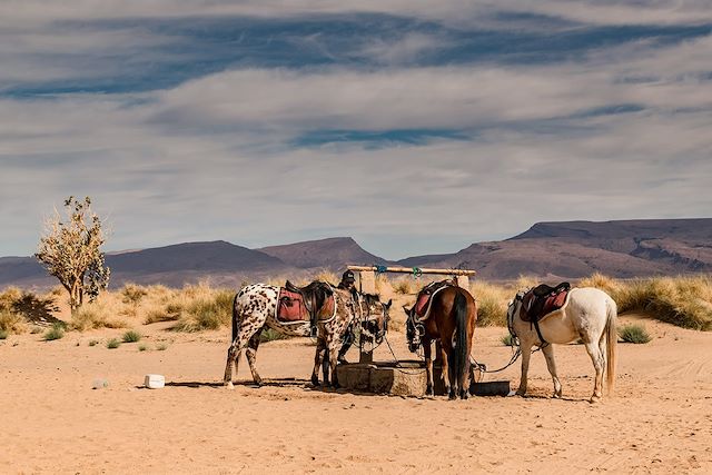 Découverte Maroc Sahara