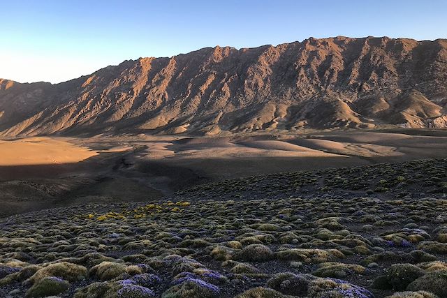 Randonnée avec mulet Maroc Atlas