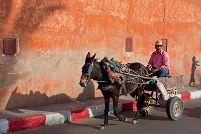 Marrakech - Maroc