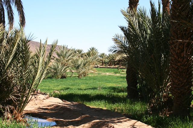 Randonnée Maroc Sahara