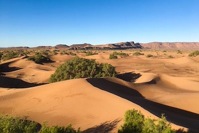 Désert de dunes - Maroc