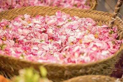 Panier de roses - Maroc