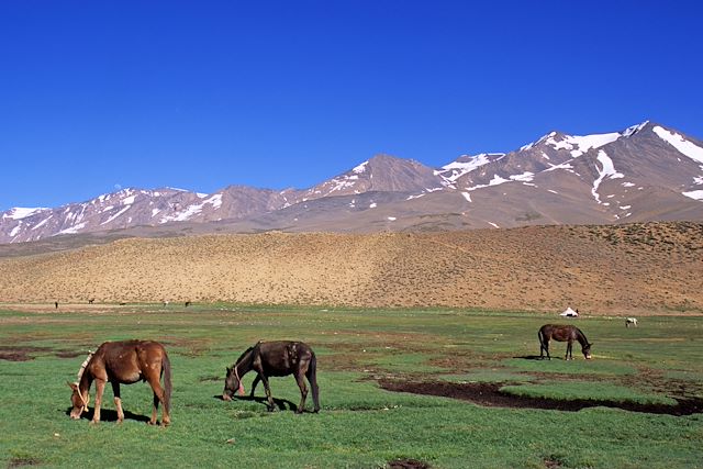 Trek Maroc Atlas