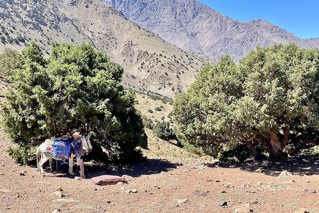 Randonnée Maroc Atlas