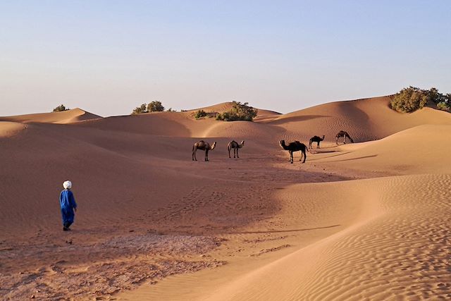 Randonnée Maroc Sahara