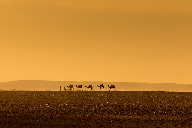 Randonnée Maroc Sahara
