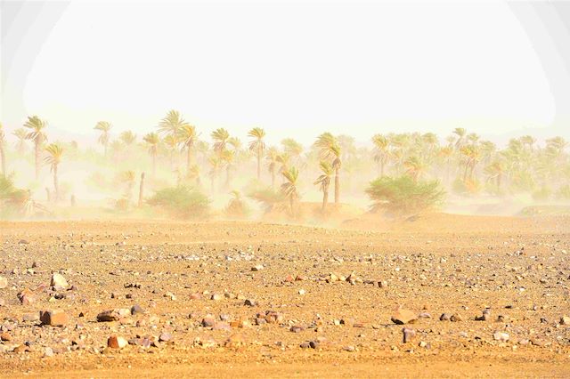 Randonnée Maroc Sahara