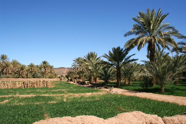 Randonnée Maroc Sahara