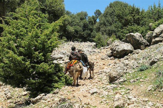 Découverte Maroc