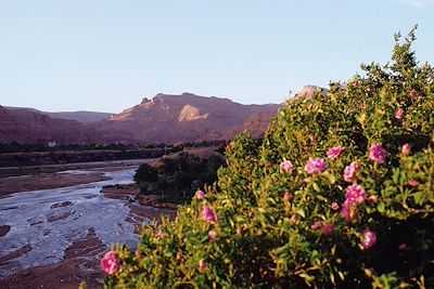Vallée des roses et kasbahs du sud marocain
