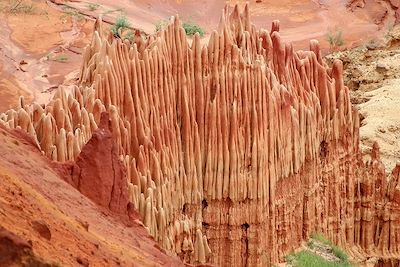 Tsingy rouge - Madagascar