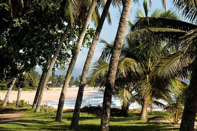Randonnée Madagascar Nord Malgache  et nosy bé