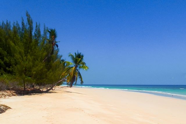 Découverte Madagascar Nord Malgache  et nosy bé
