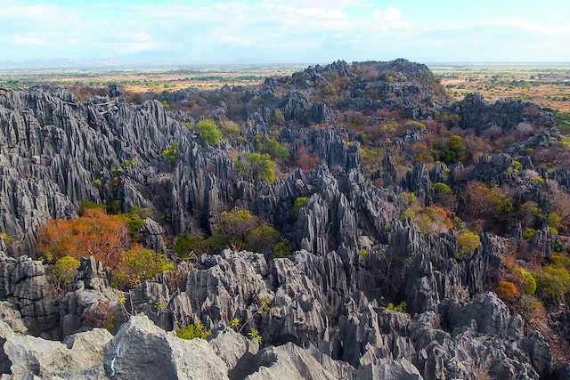 Multi-activités Madagascar Nord Malgache  et nosy bé