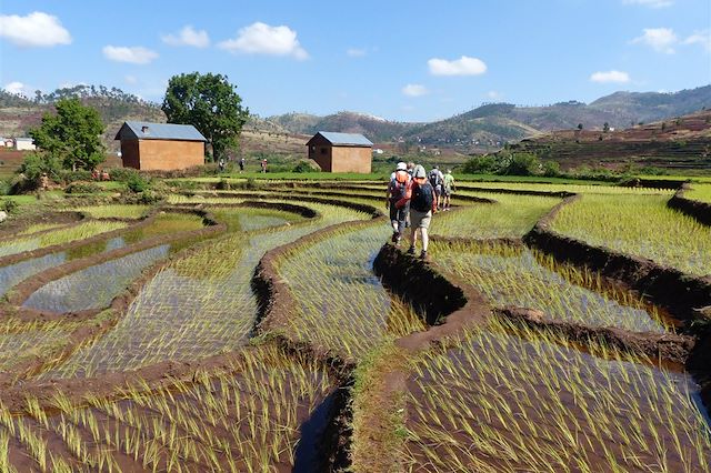 Multi-activités Madagascar