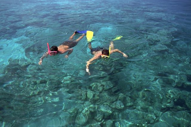 Baignade - Snorkeling Maldives