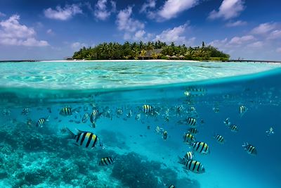 Cabotage dans les Maldives