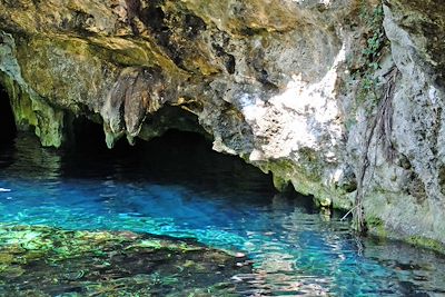 Grand Cenote - Tulum - Péninsule du Yucatan - Mexique