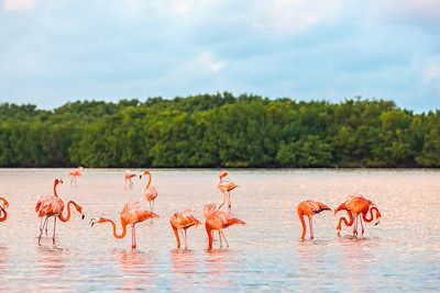 Immersion douce au cœur du Yucatán