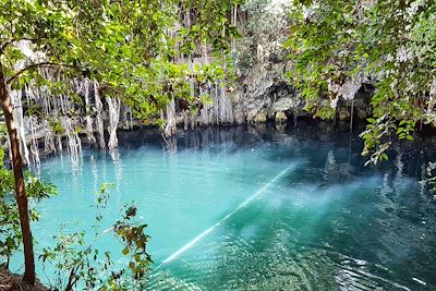 Cénote - Yucatan - Mexique