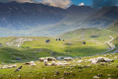 Zabljak - Monténégro