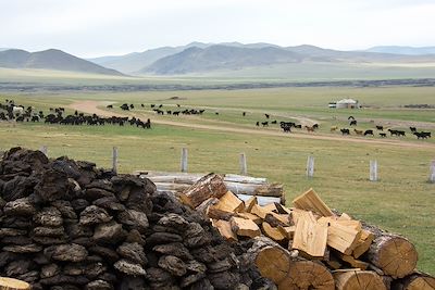 Khangai - Mongolie