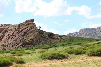 Le monts Khugnukhaan - Mongolie