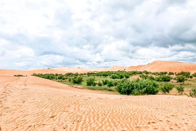 Découverte Mongolie