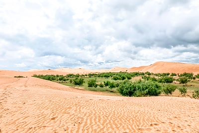 Bayan Gobi - Mongolie