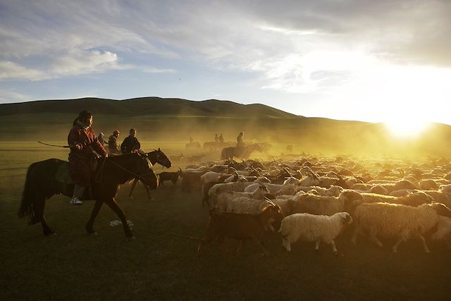 Découverte Mongolie
