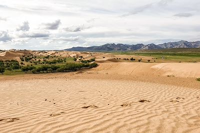 Désert de Bayan Gobi - Mongolie