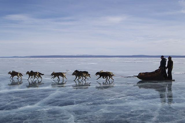 Traîneau à chiens Mongolie