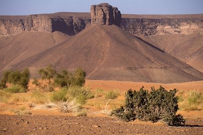 Oued el Tenzzent - Les oasis de l'Adrar - Mauritanie