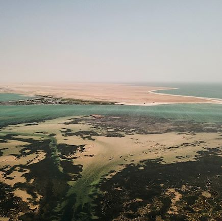 Entre terre et mer, découverte du Banc d'Arguin