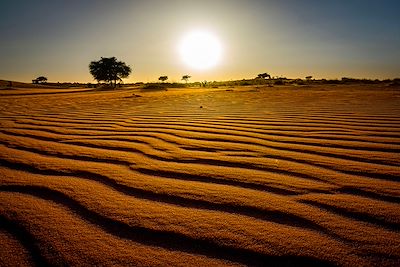 Désert de Mauritanie