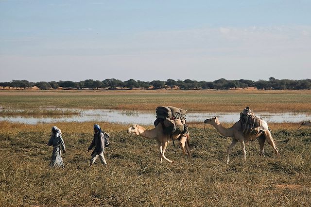 Randonnée avec chameau Mauritanie