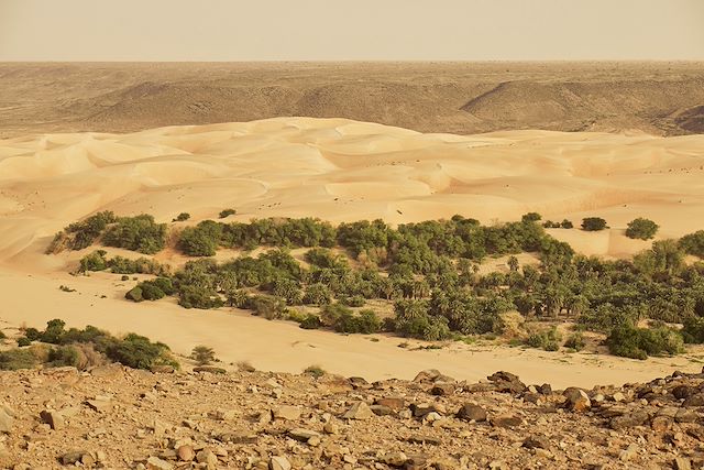 Randonnée avec chameau Mauritanie