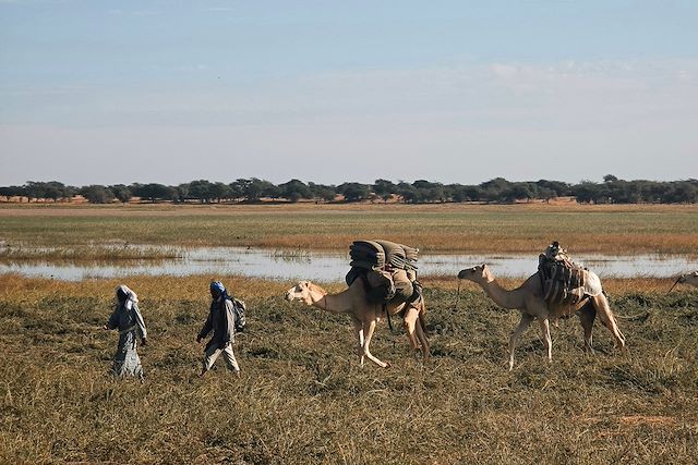 Randonnée avec chameau Mauritanie