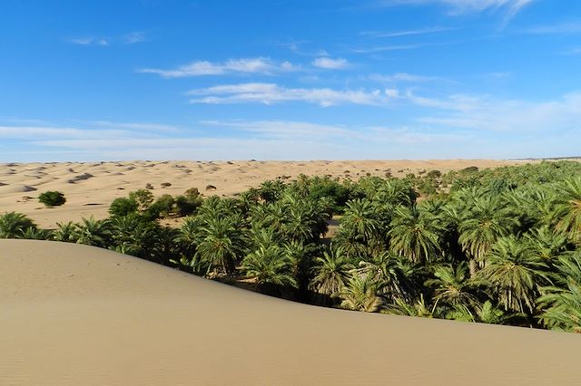 Randonnée avec chameau Mauritanie