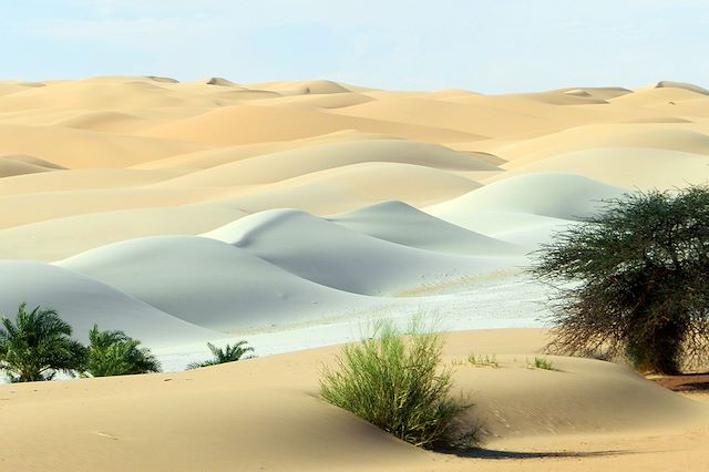 Randonnée avec chameau Mauritanie