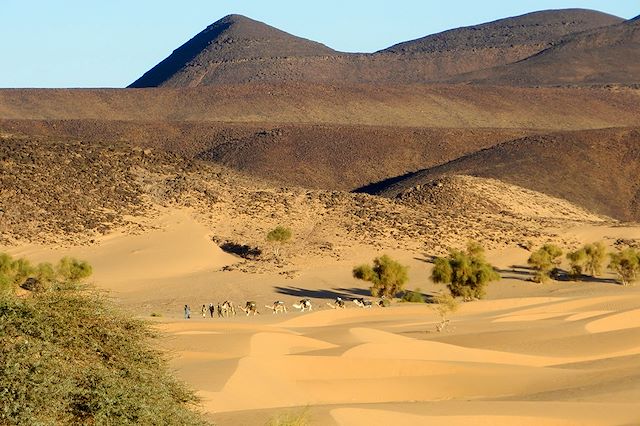 Randonnée avec chameau Mauritanie