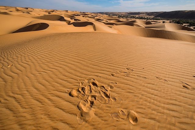 Randonnée avec chameau Mauritanie