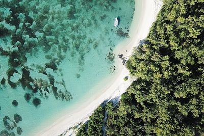 Vue aérienne plage et forêt - Ile Maurice