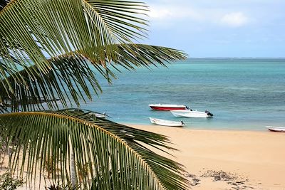 Rodrigues, nature sauvage et aventure créole