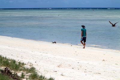 Ile aux Cocos - Ile Rodrigues - Iles Maurice