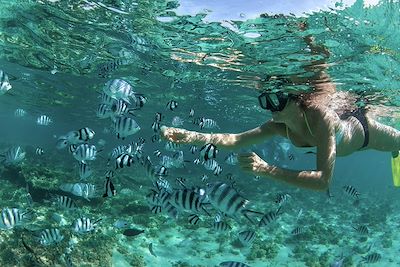 Snorkeling - Ile Maurice