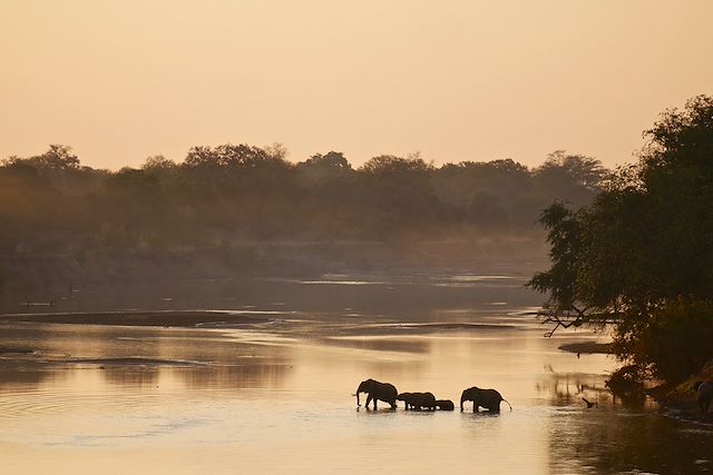 Safari Malawi