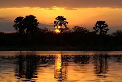 Mvuu Lodge - Parc National de Liwonde - Malawi