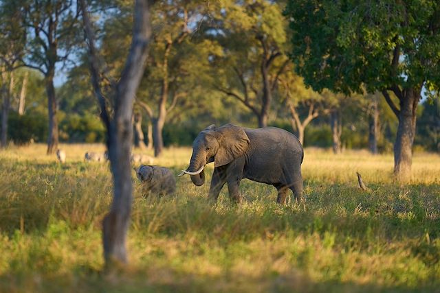 Safari Malawi