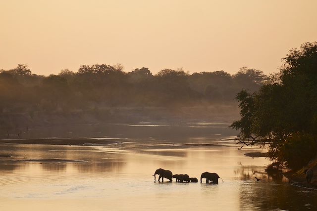 Safari Malawi
